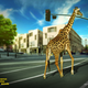 Animals cannot live in cities .. Save the woods