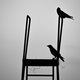black &amp;white photography