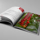 Annual Report 2012 - (PARC)