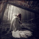 Photo manipulations II