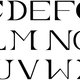 Typography and Brochure