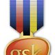 Medal Logo Idea for GSK Conference