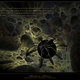 Quranic Conception, Fractals