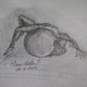 sketch