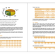 Corporate Brochures
