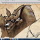 random illustrations 