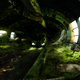 "Dead End..."Photomanipulation