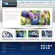 Blue Berry Production Web site 