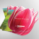 Sandoz Tulip