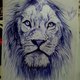 my ballpoint pen drawings
