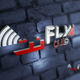 فلاي نت 