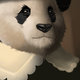Panda Portrait