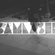 SamLaser Identity