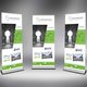2 - ROLLUP DESIGN