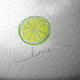 Lime: Logo creation &amp; branding