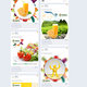 Veefru Social Media