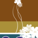  Color rectangle test