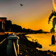 مدينة المنصورة 