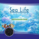 sea life