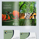 Hornbill - Ultimate Adventures 