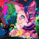 Digital Painted Cat