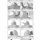 story board 
