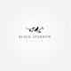 Black Sparrow 