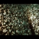 Element Motion test 