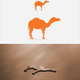 the camel