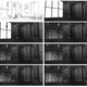 Perspective Study