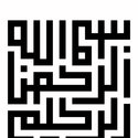 Amany  Ahmed