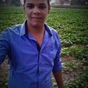 Tarek Mostafa