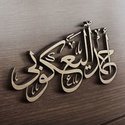 Ahmed Elyaagoubi