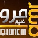 Amr Ghonem Ghonem