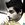 Nabil