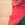 Noha