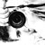 Yousif