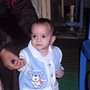 Hamed
