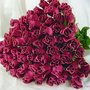 Sherouk