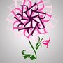 Radia