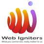 Web Igniters