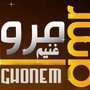 Amr Ghonem