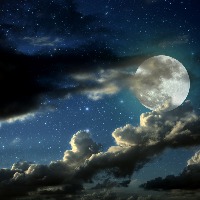 Sarah Carrell's avatar