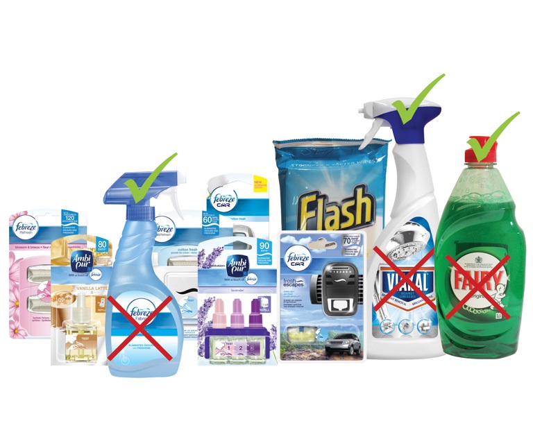 EllaCycle · TerraCycle