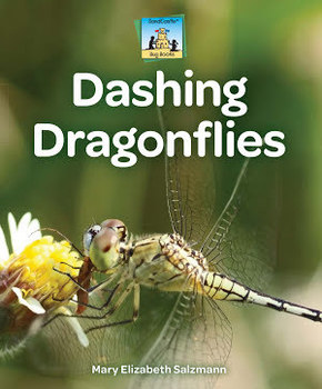 Dashing Dragonflies