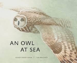An Owl at Sea