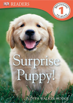Surprise Puppy