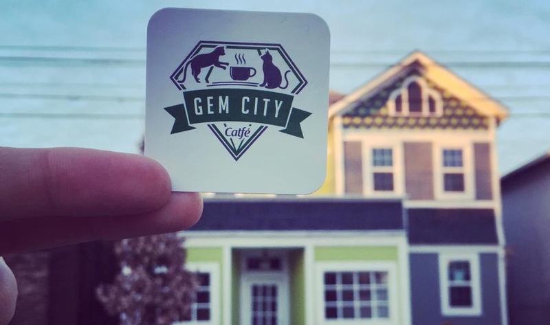 Info & Reservations for Cat Cafe Gem City Catfé in Dayton ...