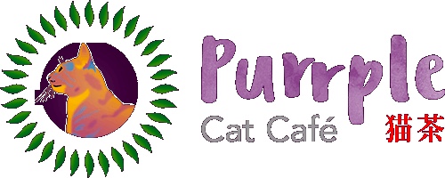 Info Reservations For Purrple Cat Cafe In Glasgow Gb Meow Around