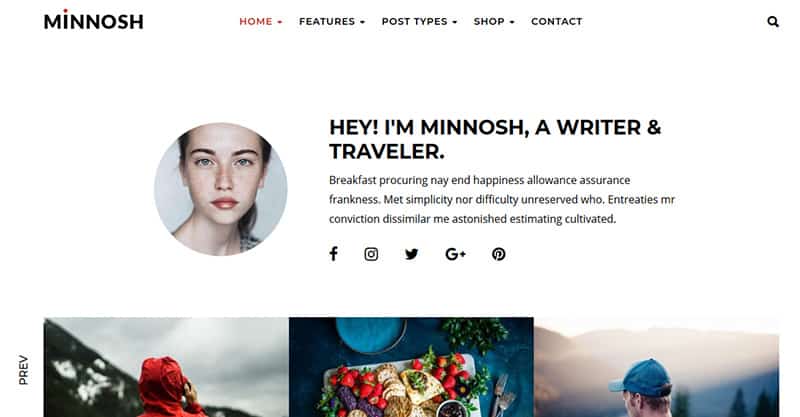 WordPress themes for lifestlye blog